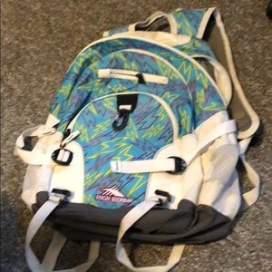 Usad back bag by high sierra